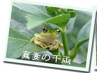 �܂Â܂̐痼�