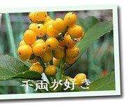 �痼�̐�����