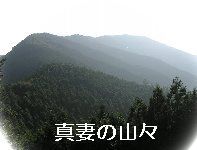 �^�Ȃ̎R�X