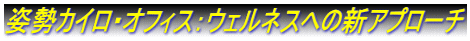 姿勢カイロ・オフィス：ウェルネスへの新アプローチ