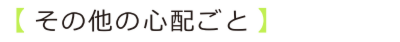 その他の心配ごと.ai