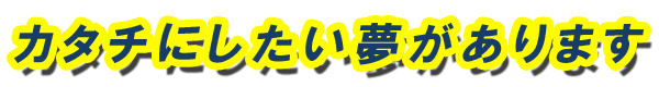 カタチにしたい夢があります