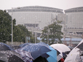 pic04122902.jpg 320240 46K