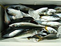 �A�W�A�T�o