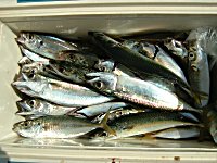 �A�W�A�T�o