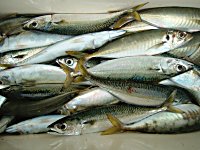 �A�W�A�T�o