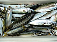 �A�W�A�T�o