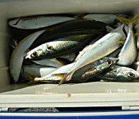 �A�W�A�T�o