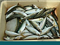 �A�W�A�T�o