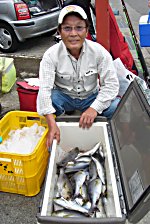 �C�T�M�@�A�W