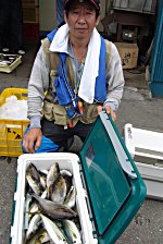 �C�T�M�@�A�W