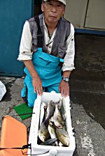 �C�T�M�@�A�W