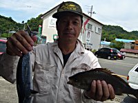 �J�c�I�@�C�T�M