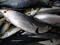 �J�c�I�@�A�W