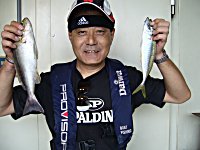 �C�T�M�@�A�W