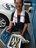 �A�W�@�C�T�M