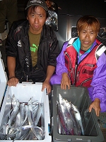 �^�`�E�I�A�T�o