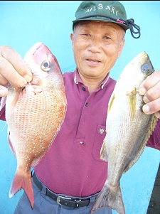 �}�^�C�A�C�T�M