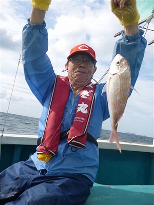 マダイ