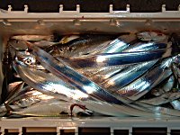 �A�W�A�^�`�E�I