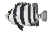 サンバソウ