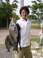 チヌ