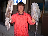 アオリイカ