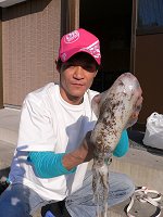 アオリイカ