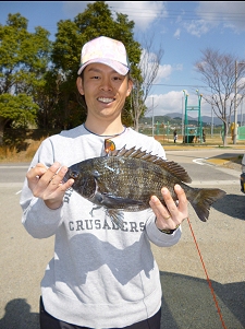チヌ