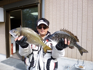 チヌ