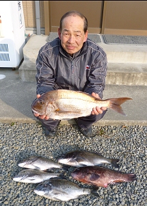 チヌ、真鯛、カンダイ