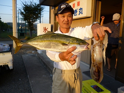 ハマチ、アオリイカ