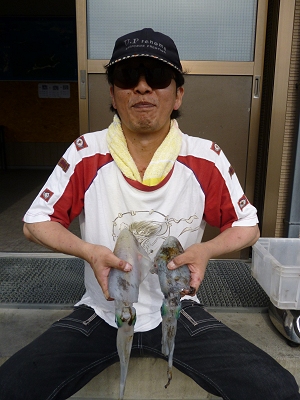アオリイカ