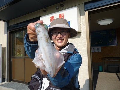 アオリイカ