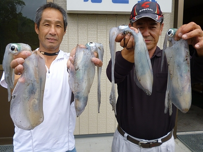 アオリイカ