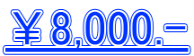 8,000.- 