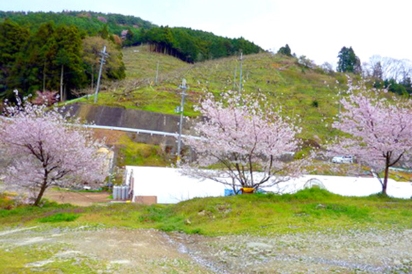 さいじ 紀の川ファーム