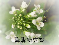 �܂Â܂킳�ѐ���