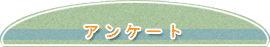 AP[gɂ͂B