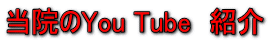 ���@��You Tube�@�Љ�