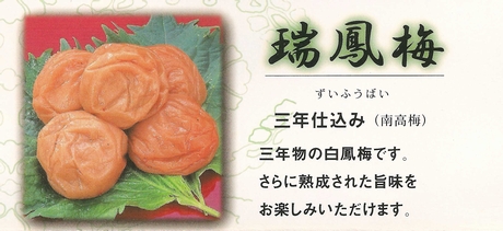 ��ǯ�Ź��ߡ���˱��