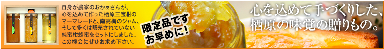 三宝柑のてづくりジャムのページへ