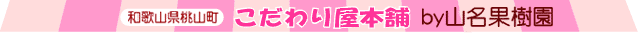 a̎RR ̃lbgʔ Rʎ